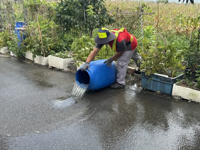 中市推動登革熱孳生源清除評比成效亮眼　動員33萬人次、公私協力守護城市健康