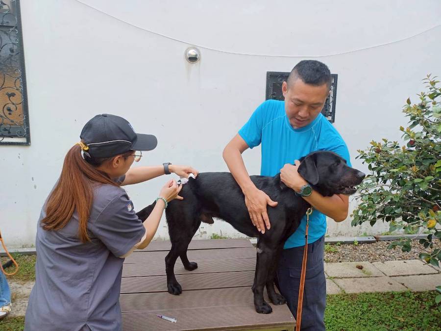 台中市搜救犬與警犬完成疫苗注射　強化動物防疫與公共安全