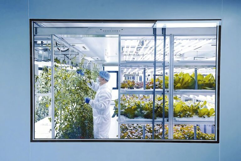 通州未來農場書寫智慧農業樣本